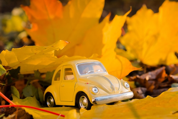 Gele retro speelgoedauto op het blad van de de herfstesdoorn. herfst reizen en vakantie concept. Premium Foto