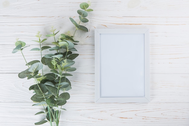 Groene plant takken met een leeg frame op tafel Gratis Foto