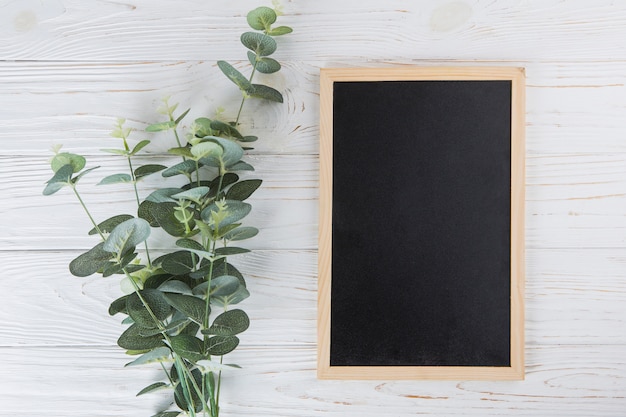 Groene plant takken met lege schoolbord op tafel Gratis Foto