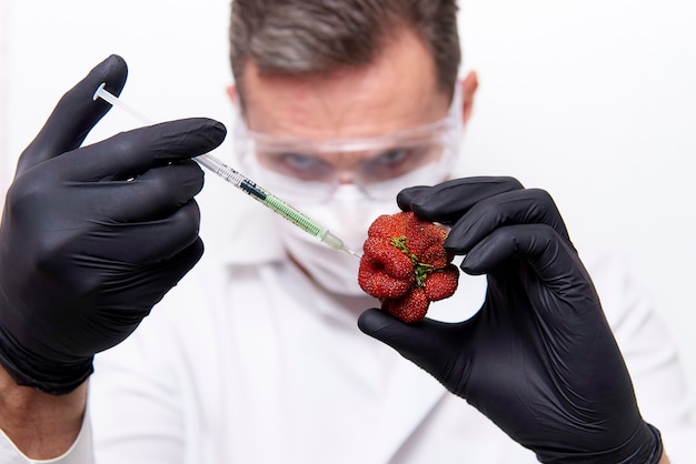 Handen van de wetenschapper in zwarte handschoenen met een spuit met injectie en aardbeien van ongebruikelijke vorm. Premium Foto
