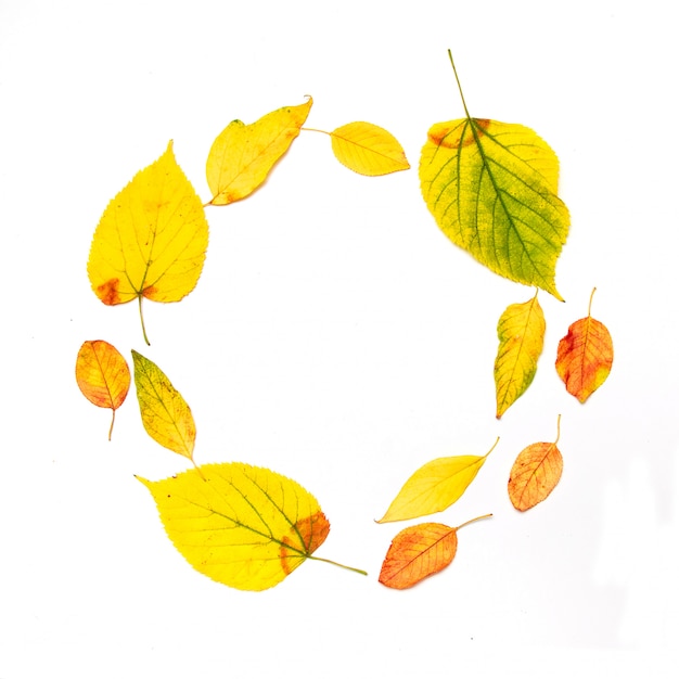 Herfst samenstelling. frame dat van de bladeren van de de herfstesdoorn wordt gemaakt die op wit worden geïsoleerd Premium Foto