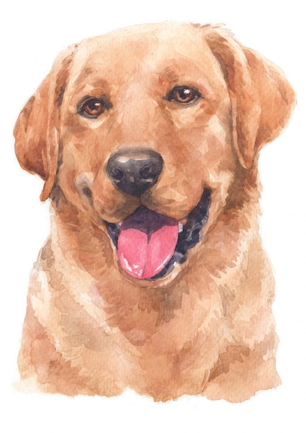 Het schilderen van de waterverf van labrador Premium Foto