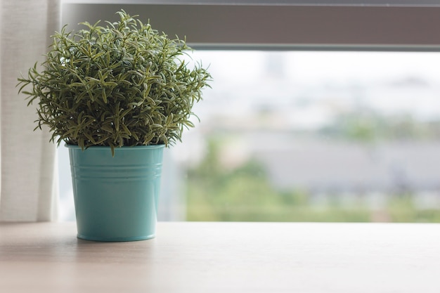 Houten tafel met kleine groene plant in potten op venster Premium Foto