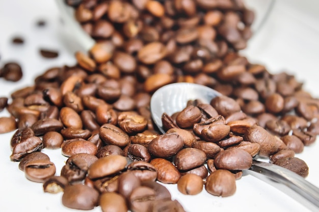 Koffieboon. een kopje koffie. selectieve aandacht. Premium Foto