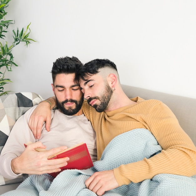 Liefdevolle Jonge Homoseksueel Paar Liggend Op De Bank Lezen Van Het