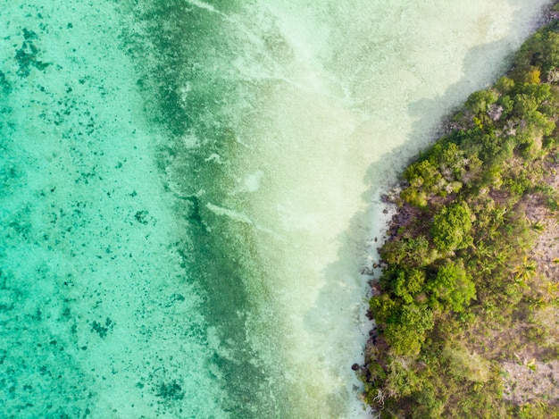 Lucht top naar beneden tropisch paradijs ongerepte kustlijn regenwoud op bair island. indonesië molukse archipel, kei-eilanden, banda-zee. beste reisbestemming, beste duiken snorkelen. Premium Foto