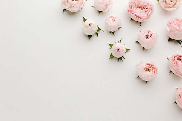 Minimalistische roze en witte rozen en kopie ruimte achtergrond Gratis Foto