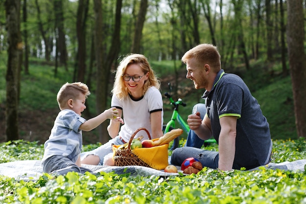 Moeder, vader en een kleine jongen proeven appels zittend op het gras tijdens een picknick in het park Gratis Foto