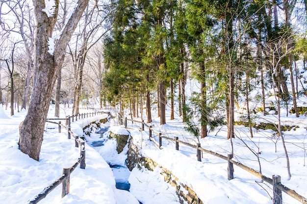 Mooi openluchtaardlandschap met boom in sneeuwwintertijd in hokkaido Gratis Foto