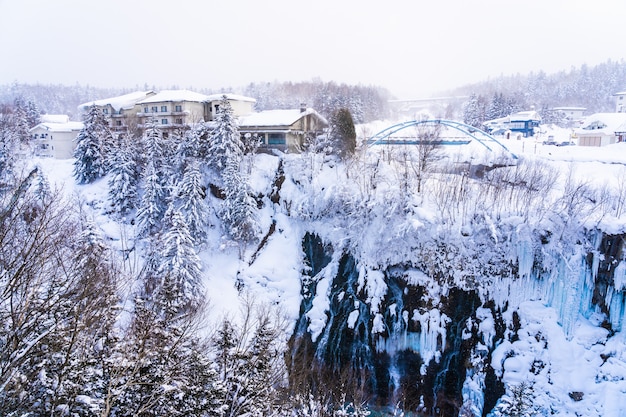 Mooi openluchtaardlandschap met shirahige waterval en brug in sneeuw wintertijd Gratis Foto