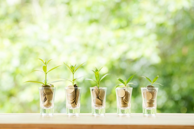 Munten in vijf glazen glas met kleine bomen Gratis Foto