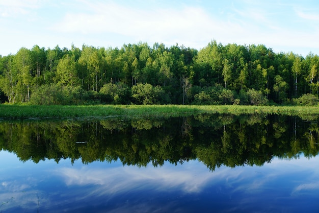 Natuur in de zomer. groene bomen worden weerspiegeld in het water. Premium Foto