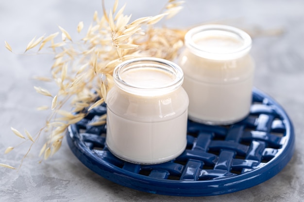 Niet Zuivel Alternatief Plantaardige Melk Of Yoghurt In Een Pot Op Een Witte Achtergrond Haverroom In