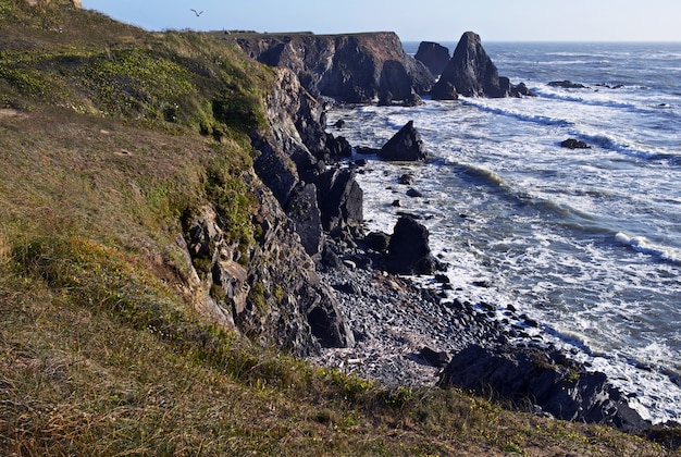 Noord-californië kust | Gratis Foto