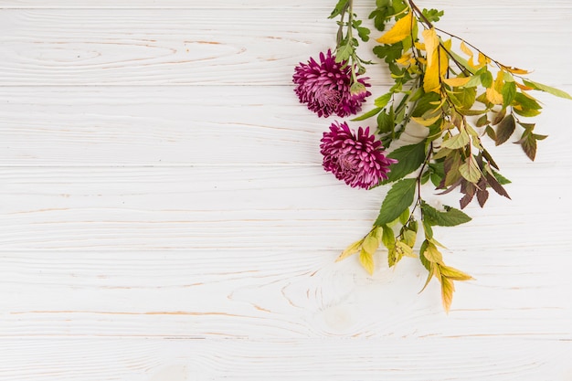 Plant takken met paarse bloemen op tafel Gratis Foto