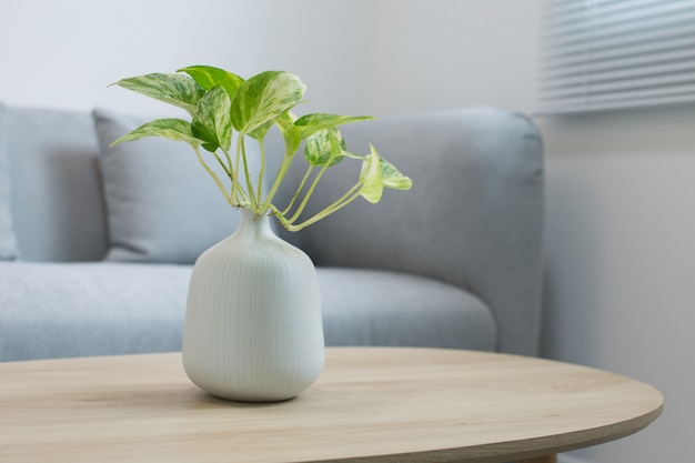 Planten in de witte vaas op een houten tafel Premium Foto