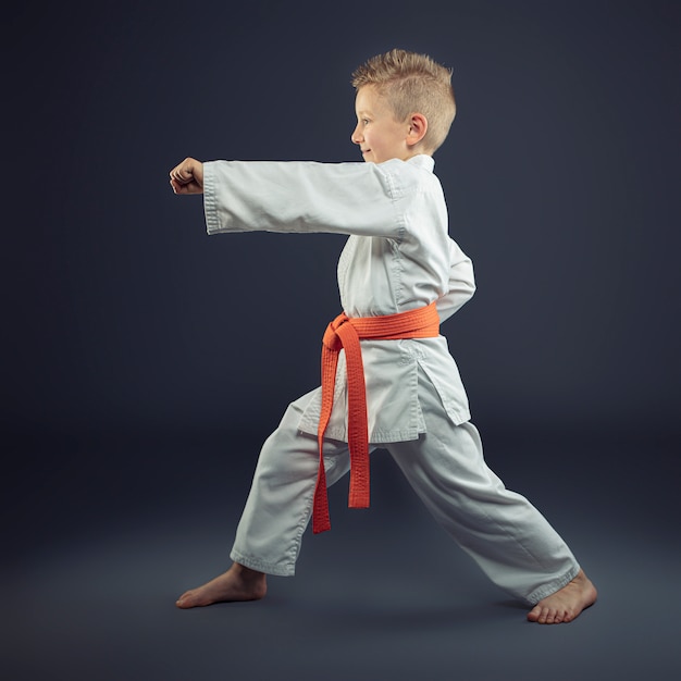 Portret van een kind met een kimono beoefenen karate Premium Foto