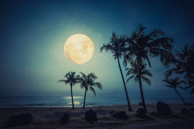 Prachtige fantasie tropisch strand met ster en volle maan in de nachtelijke hemel. Premium Foto