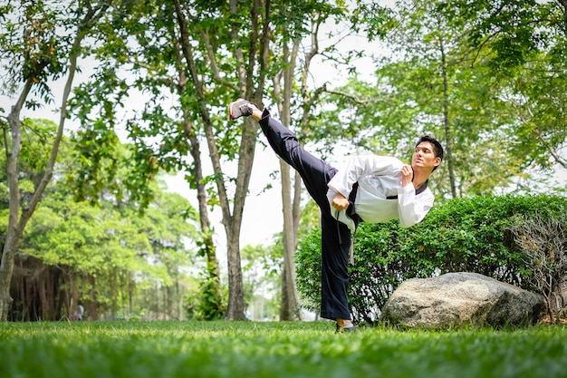 Professioneel Portret Van Jonge Aziatische Man Taekwondo Doen Oefening In De Zomer Park Premium Foto