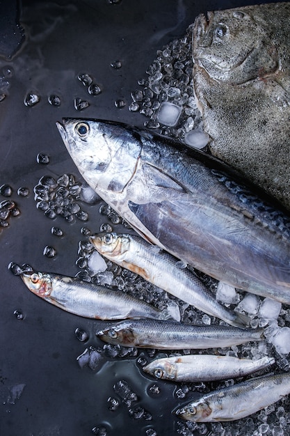 Rauwe verse tonijn, haring en botvis Premium Foto
