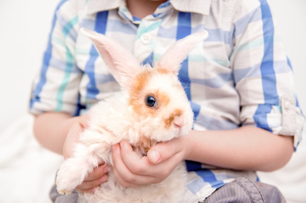 Schattig klein konijntje met grote oren Premium Foto