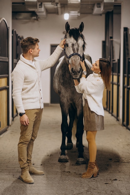 Stel in stal met paard Gratis Foto