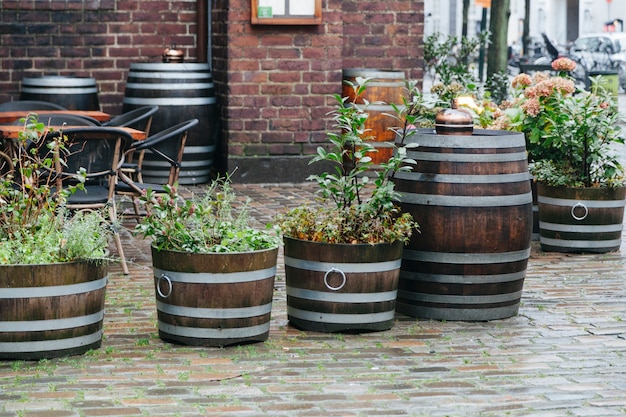 Straatplanten in houten manden en vaten Gratis Foto