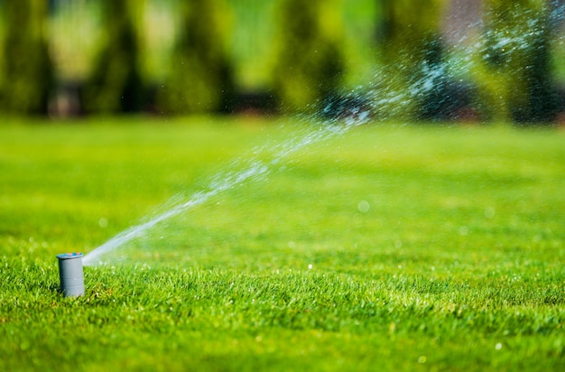 Tuin lawn sprinkler Gratis Foto