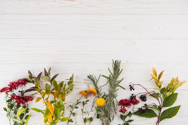 Verschillende plant takken met bloemen op tafel Gratis Foto