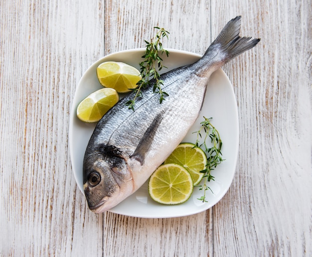 Verse gilthead-brasemvissen Premium Foto