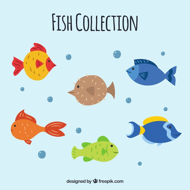 Betsy Trotwood Ziek persoon De Kamer Aantal vissen in verschillende kleuren | Gratis Vector