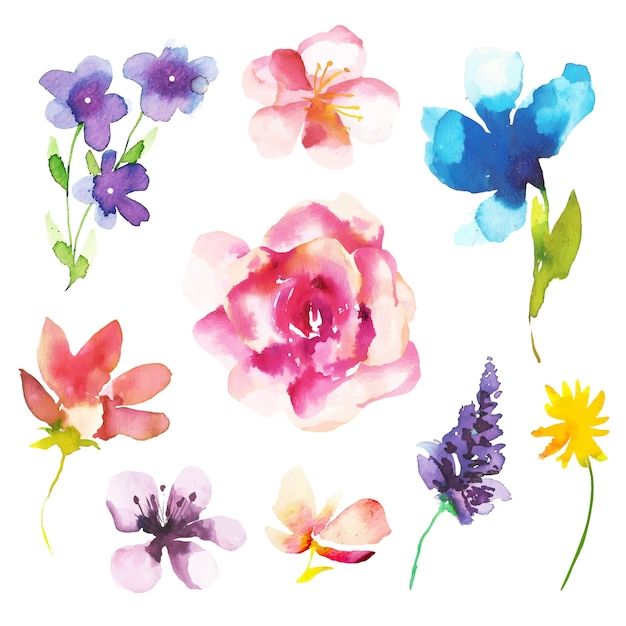 Aquarel Lente Bloemencollectie Gratis Vector