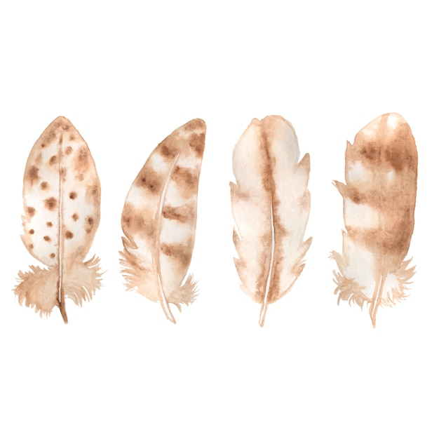Aquarel veer set geïsoleerd op wit. boho-stijl. Gratis Vector