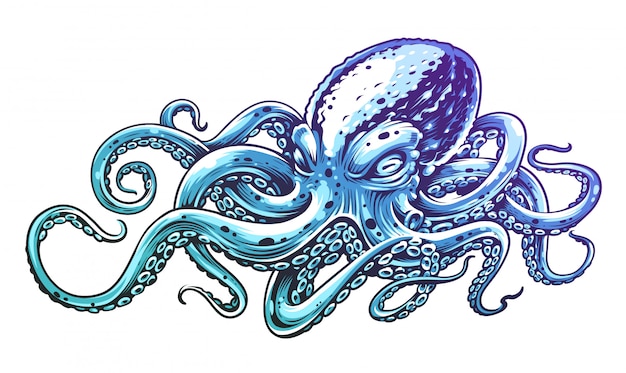 blue octopus blue octopus