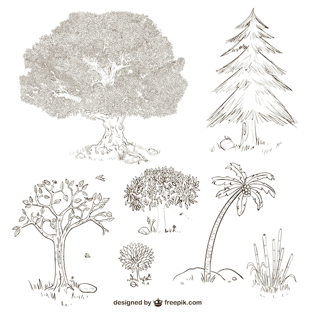 Onwijs Bomen en planten tekeningen | Gratis Vector YP-72