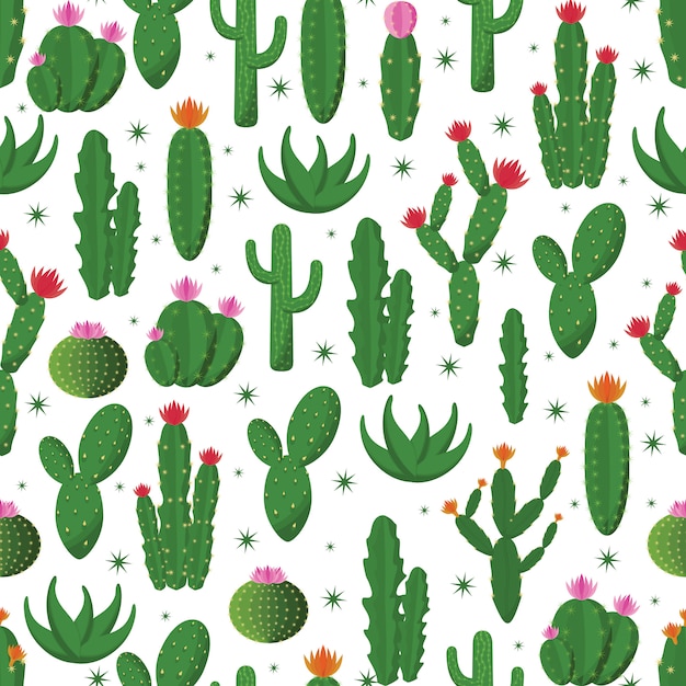 Cactussen Cactus Plant Naadloze Patroon Achtergrond Wrap Ontwerp Premium Vector