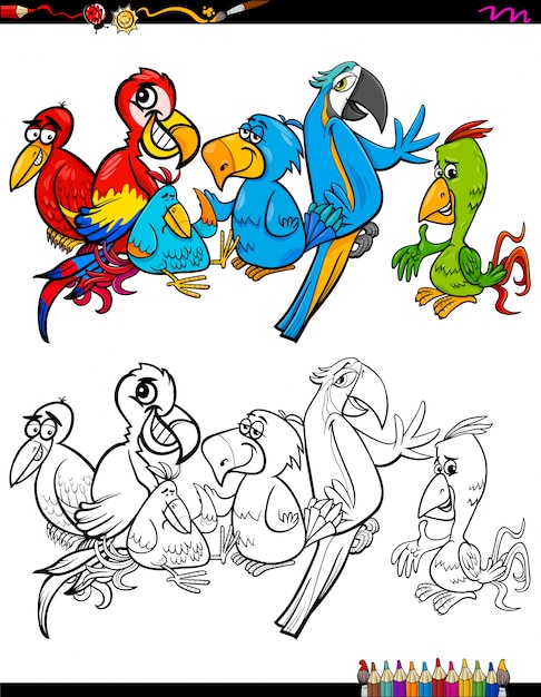 Schattig, vogel, papegaai, spotprent. Schattig, papegaai, illustratie,  spotprent, vector, vogel.