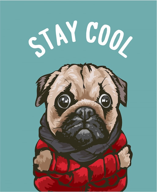 Orthodox Te kaas Coole slogan met cartoon hond in rode jas illustratie | Premium Vector