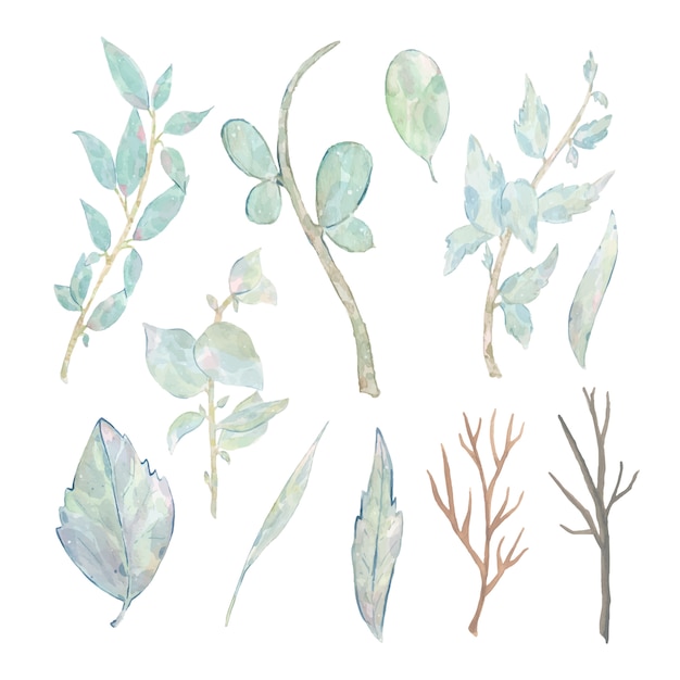 De waterverfhand schilderde groene die bladerentak op wit wordt geïsoleerd Gratis Vector