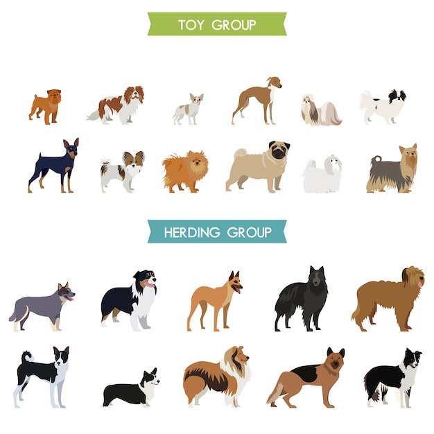 Dog collectie ontwerp Gratis Vector
