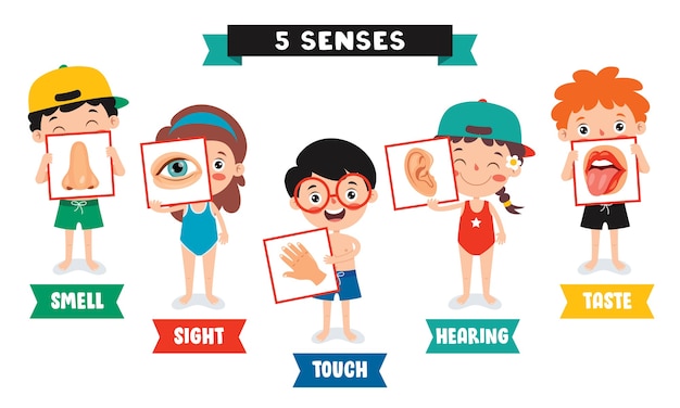 Five Senses Sjabloon Met Kinderen Met Menselijke Organen Premium Vector