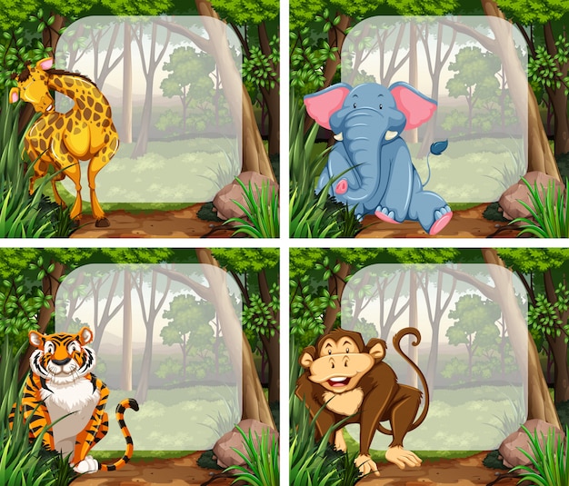 Frame met wilde dieren in de jungle Gratis Vector