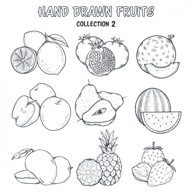 Fruit kleuring ontwerp Gratis Vector