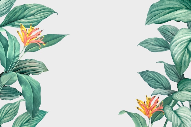Gebladerteachtergrond Gratis Vector