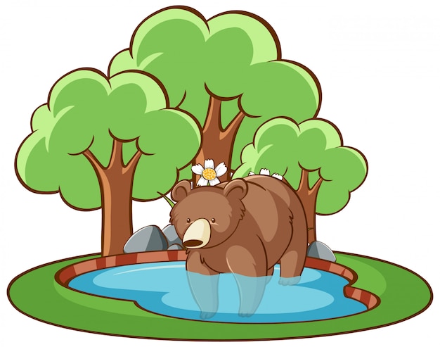 Geïsoleerde grizzly in de vijver Gratis Vector