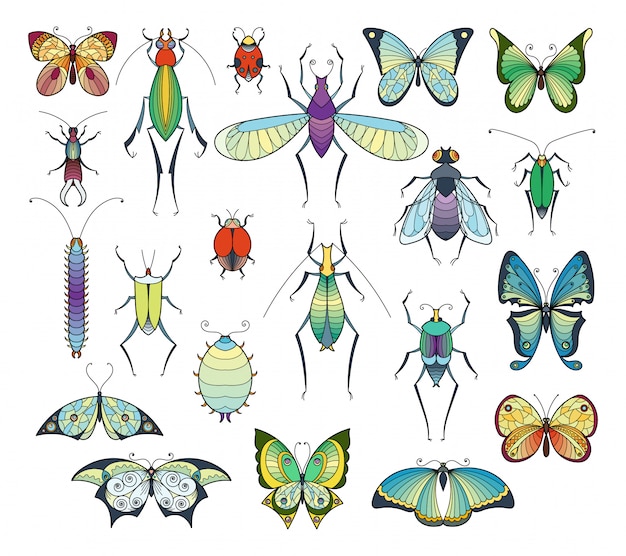 Gekleurde insecten isoleren op wit. bugs en vlinders vectorafbeeldingen instellen. Premium Vector