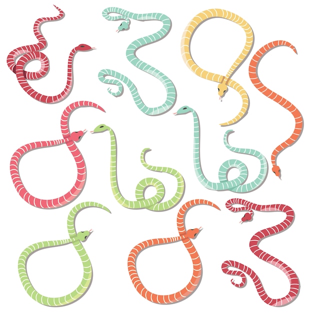 als Het spijt me Persoonlijk Gekleurde slangen collectie | Gratis Vector