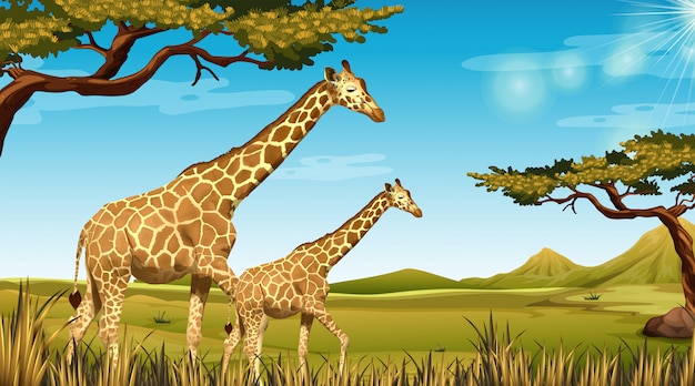 Giraffen in afrikaans landschap Gratis Vector