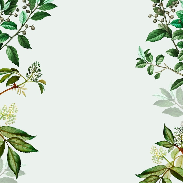 Groen botanisch frame Gratis Vector