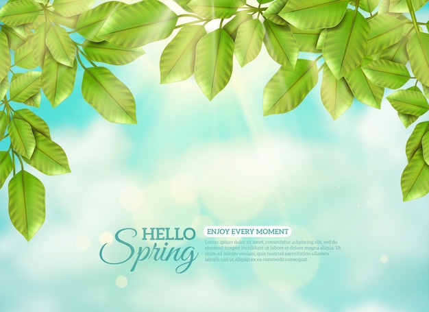 Groene bladeren in stralen van de lentezon Gratis Vector